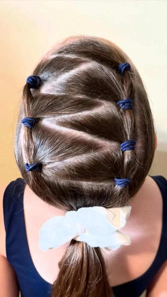 Zigzag Dutch Braids Dance Hairstyle